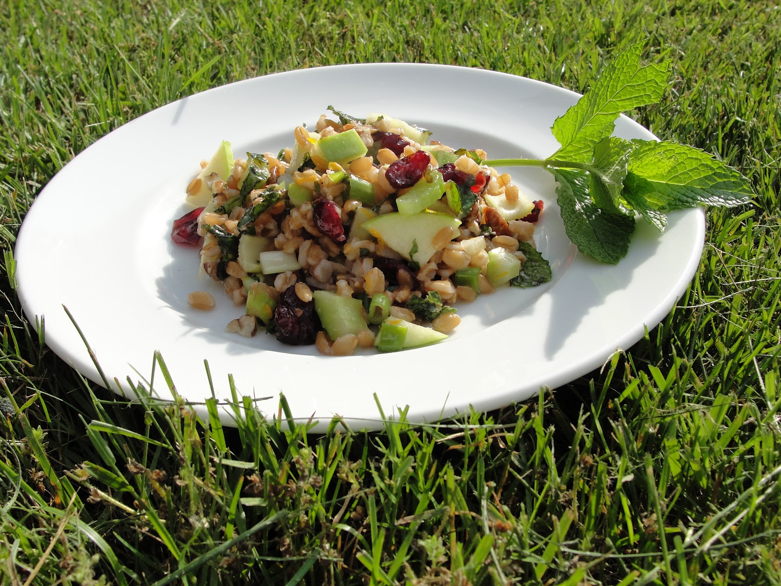 Drop It and Eat Drop the Diet, Manage Your Weight Carbs Still Don't