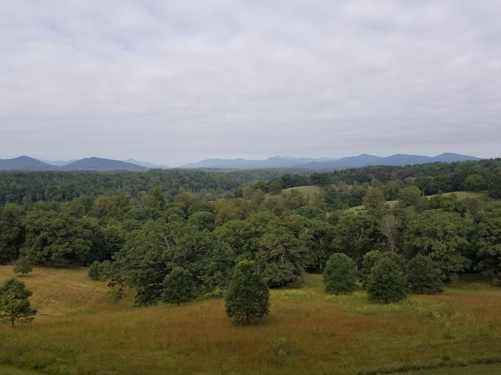 Life as a Homeschool Mom Biltmore Homeschool Day
