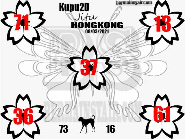 forum syair hk Meloditogel