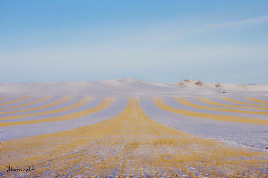 A unique countryside landscape of dried-out farm crops and snow. - Winter In Mongolia Is Cold But Incredibly Beautiful A unique countryside landscape of dried-out farm crops and snow. - Winter In Mongolia Is Cold But Incredibly Beautiful