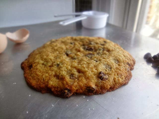 XL Brown Butter Chocolate Chip Cookie