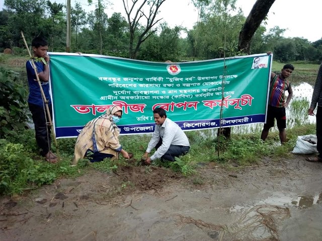 কিশোরগঞ্জে পরিবেশ'র ভারসাম্য রক্ষায় বিভিন্ন সড়কে তালবীজ রোপন