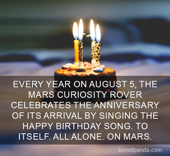 Amazing facts about life