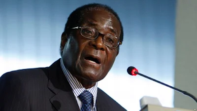 Mugabe: Sikutegemea Kuondolewa Madarakani na Mnangagwa