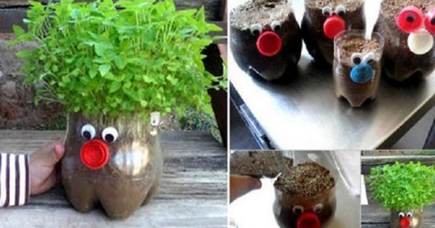 Cara Menciptakan Pot  Bunga Dari  Botol  Plastik  Yang Menawan 