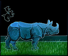 Rhinoceros