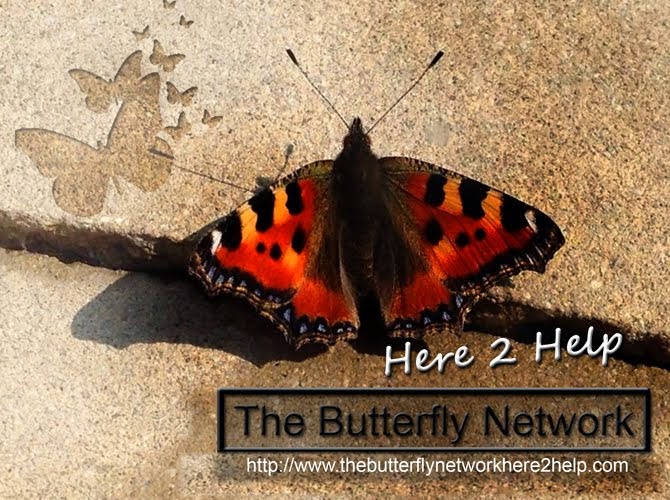 The Butterfly Network Here2Help
