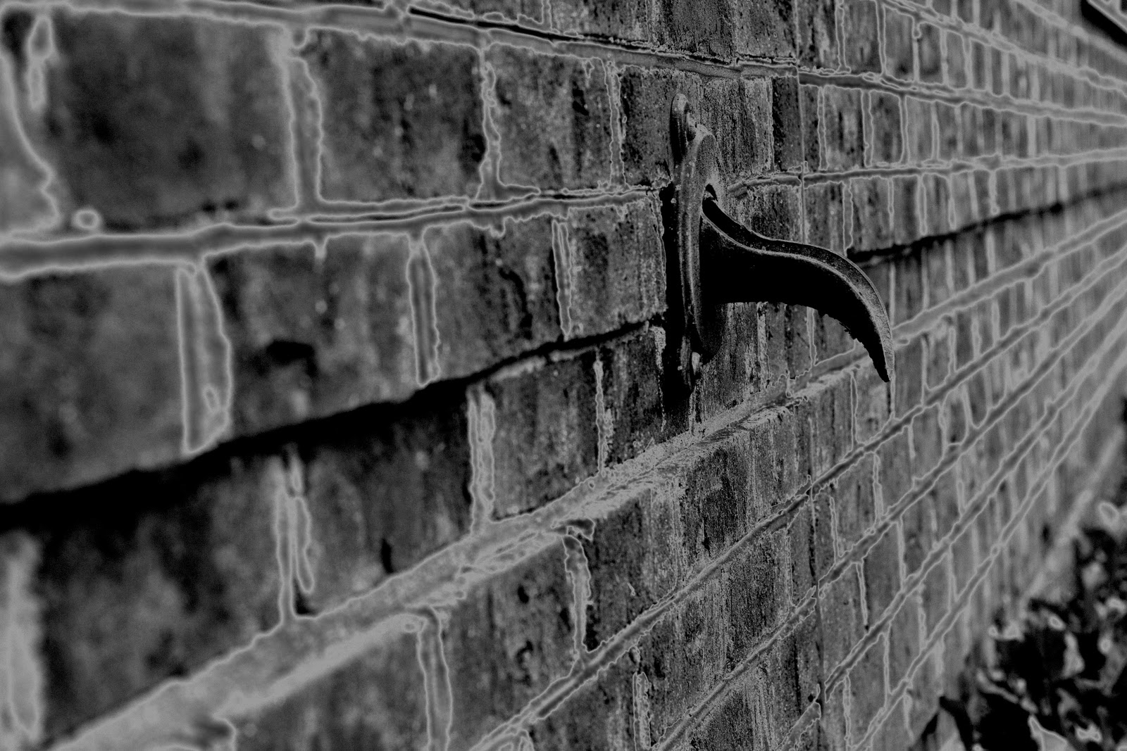 Photography: Digital 4- Solarization