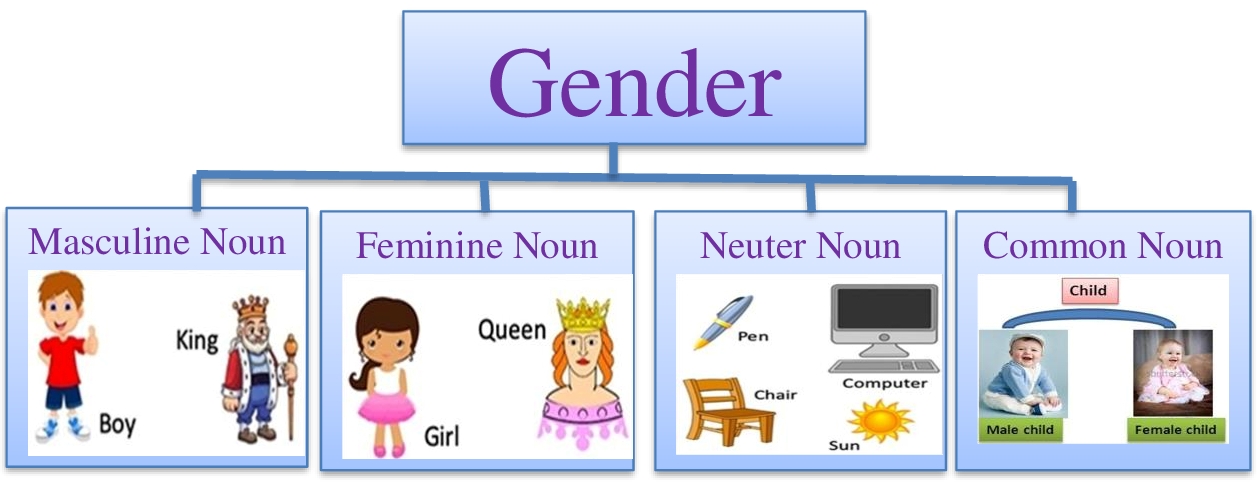 Effective and Creative Lesson Plans ! For Teachers By Teacher: Lesson  Planning of Masculine, Feminine and Neuter Genders Subject English Grade 5th