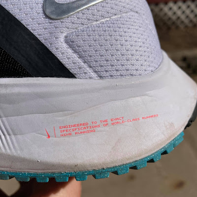 pegasus 35 pronation