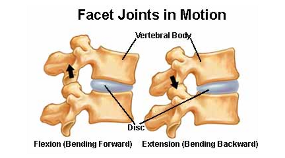 Sound Chiropractic Center seattle chiropractor for joint pain