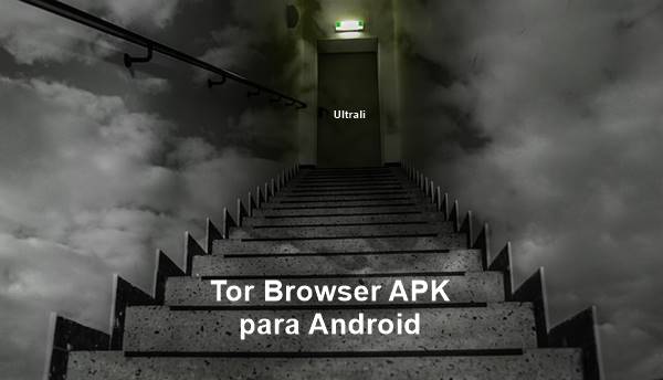 tor browser android apk