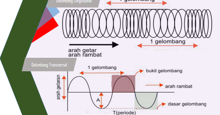 Pengertian Gelombang Longitudinal Dan Contoh Nya - Contoh LBE
