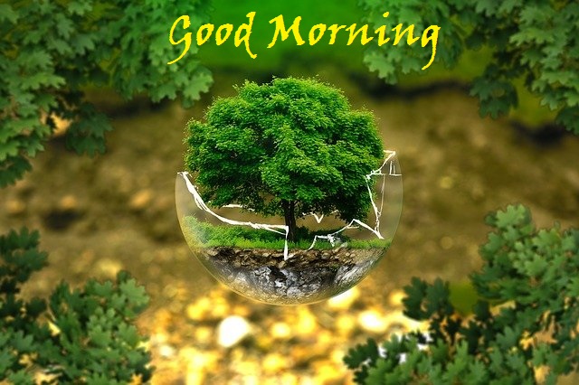 Good Morning Nature Images Free Download