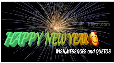 happy new year wish,quetos.messages in hindi.