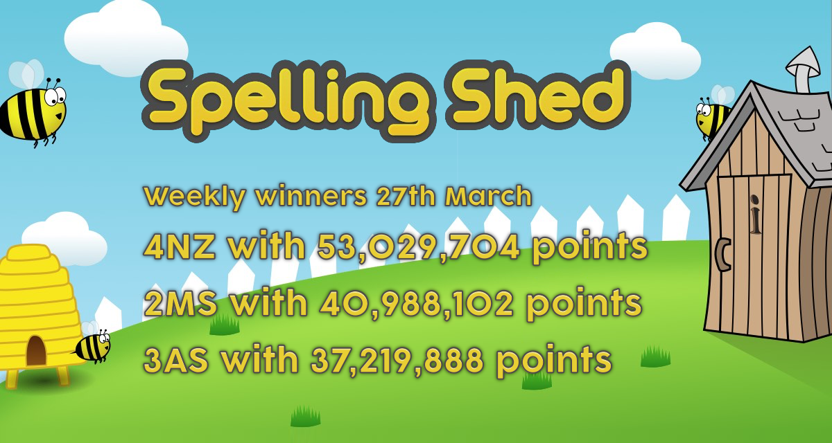 Hacton News Spelling Shed Weekly Winners