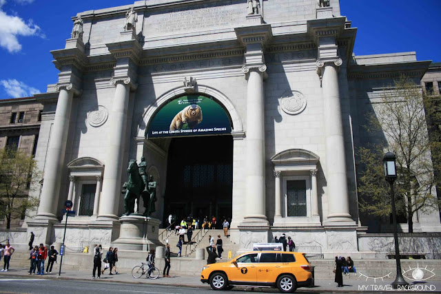 My Travel Background : le musée d'Histoire Naturelle de New York
