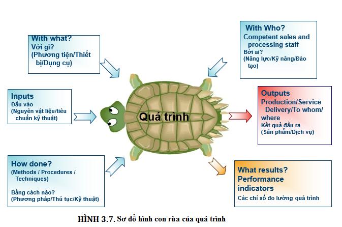 Viện Đào Tạo Quản Lý Chất Lượng UCI: Sơ đồ con rùa và làm thế nào để sử ...