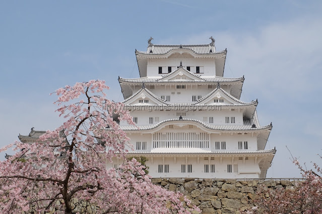Himeji Castle Weeping Cheery Trees