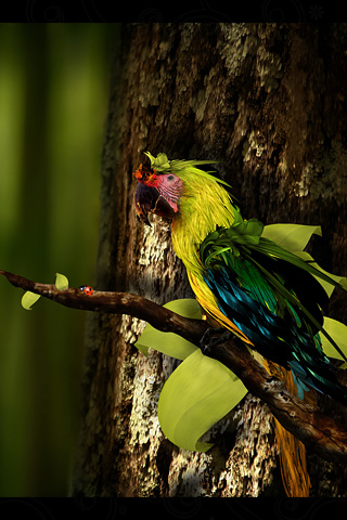 iPhoneZone: 20 Fantastic Parrot Wallpapers For iPhone