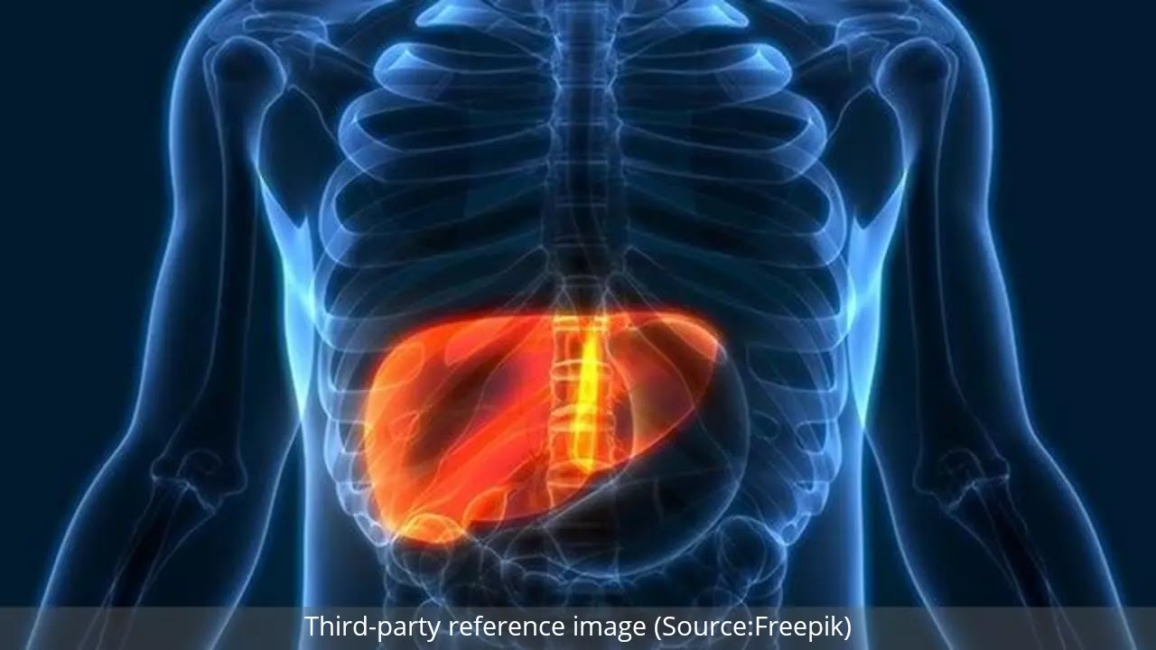 Hepatitis | HealthInsta Hepatitis | HealthInsta