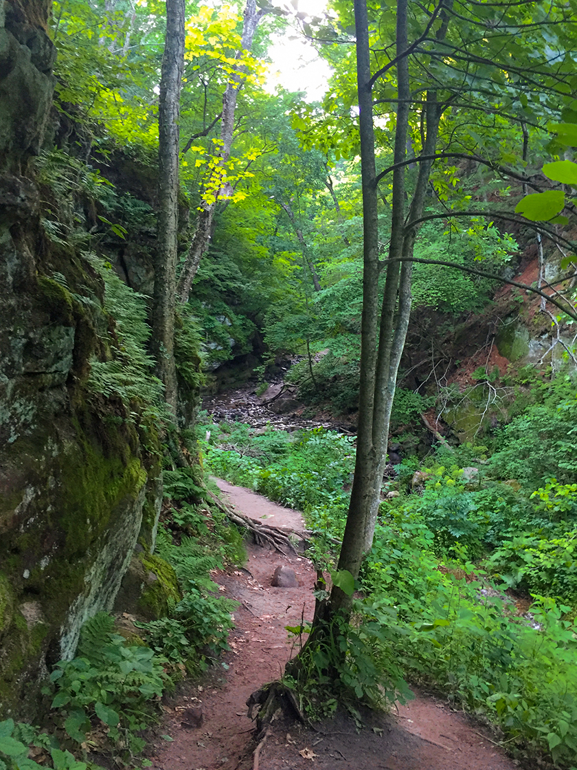 Parfreys Glen State Natural Area