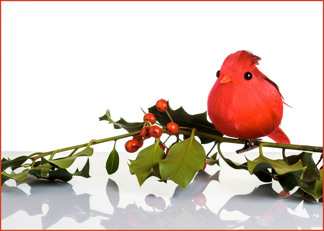Bitstop Christmas Birds
