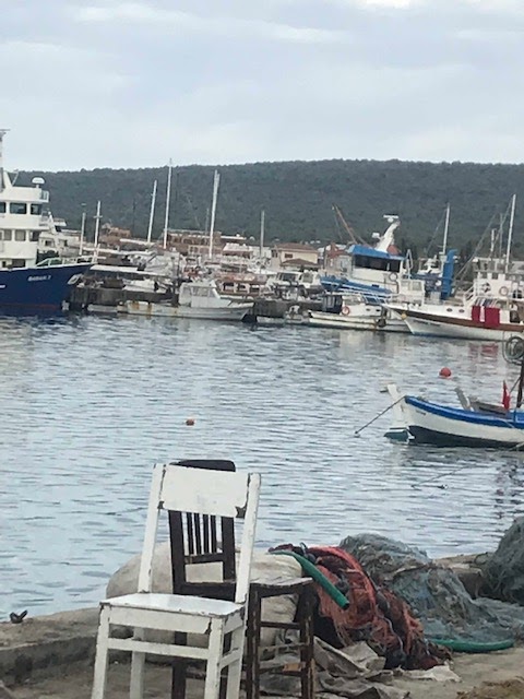 Dr Hilmi Namli Siklohekzan Ve Substitue Siklohekzanlar Konformerleri Ve Izomerleri Halkal Bil Ikler Icerisinde Cok Buyuk Onem Arz Edmesi Ve Genelde Uzerinde En Cok Durulan Halkal Yap Olma Ozelligi Ba Gerilimi Ve Torsiyonal