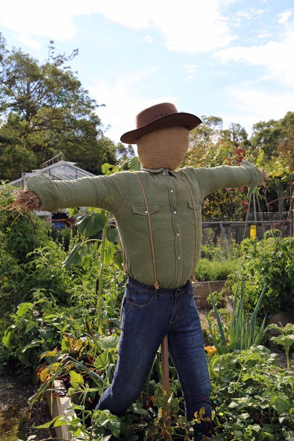 20+ Fabulous Garden Scarecrow Ideas