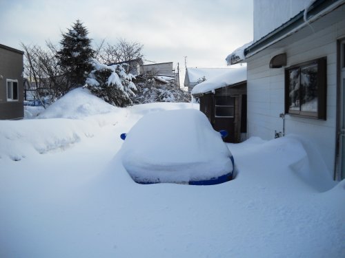 家族が愛犬の最後の日の感動の記録を共有