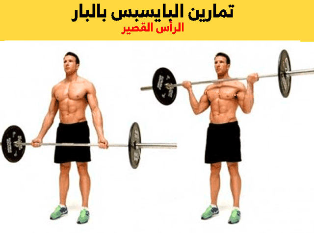 تمارين البايسبس