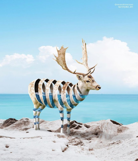 Surrealist Sliced Wildlife Photography by Ade Maolana