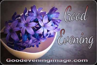 Good evening images with flowers Good evening images with flowers