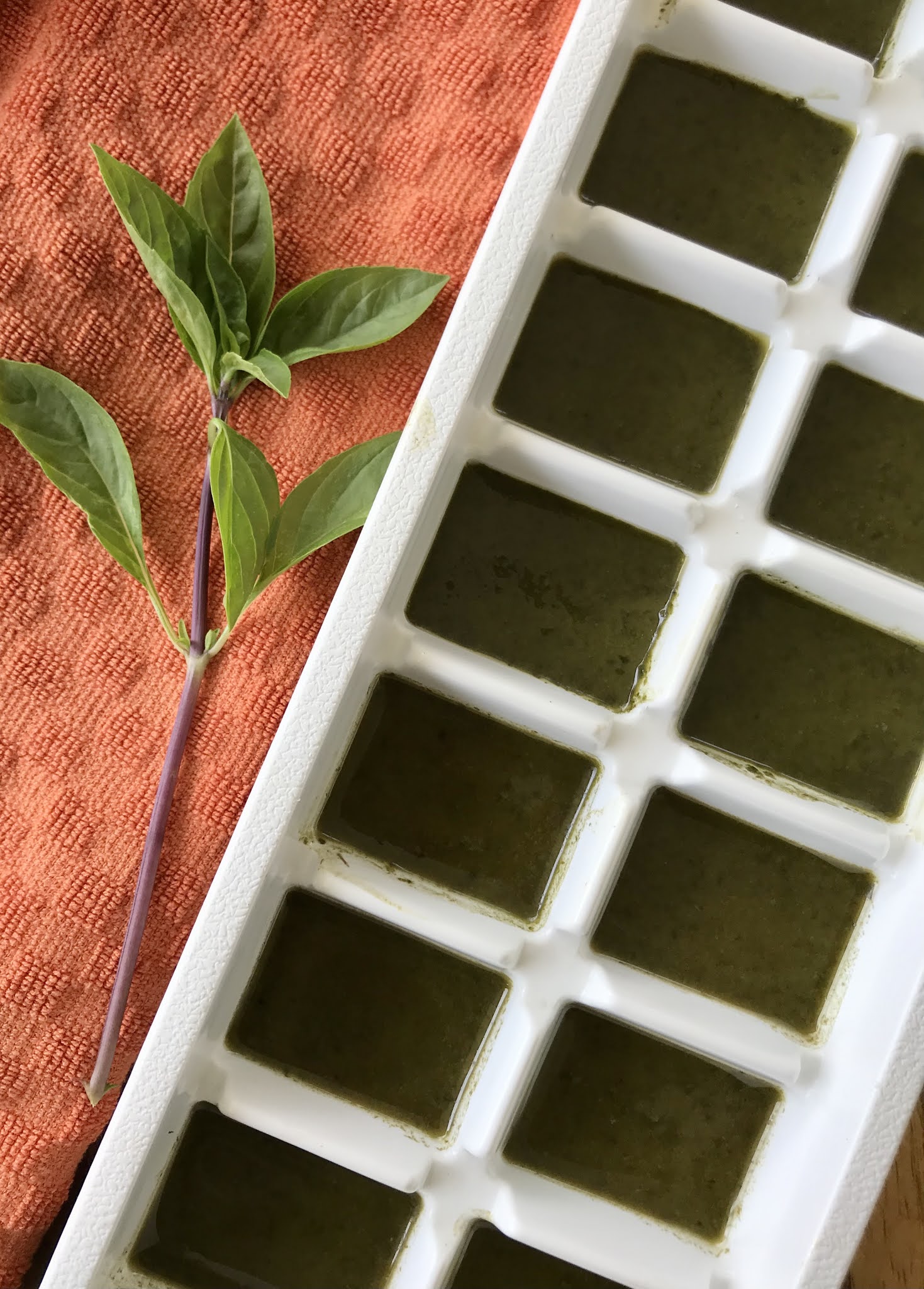 Savory Moments How to freeze basil in olive oil