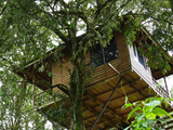 Tree House in Munar