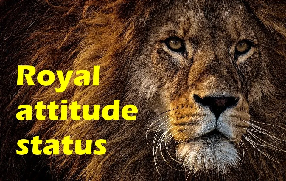 royal attitude status in hindi 2 line