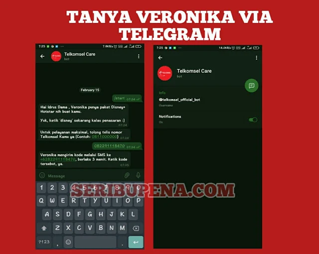 Chat Veronika Asisten Virtual di telegram