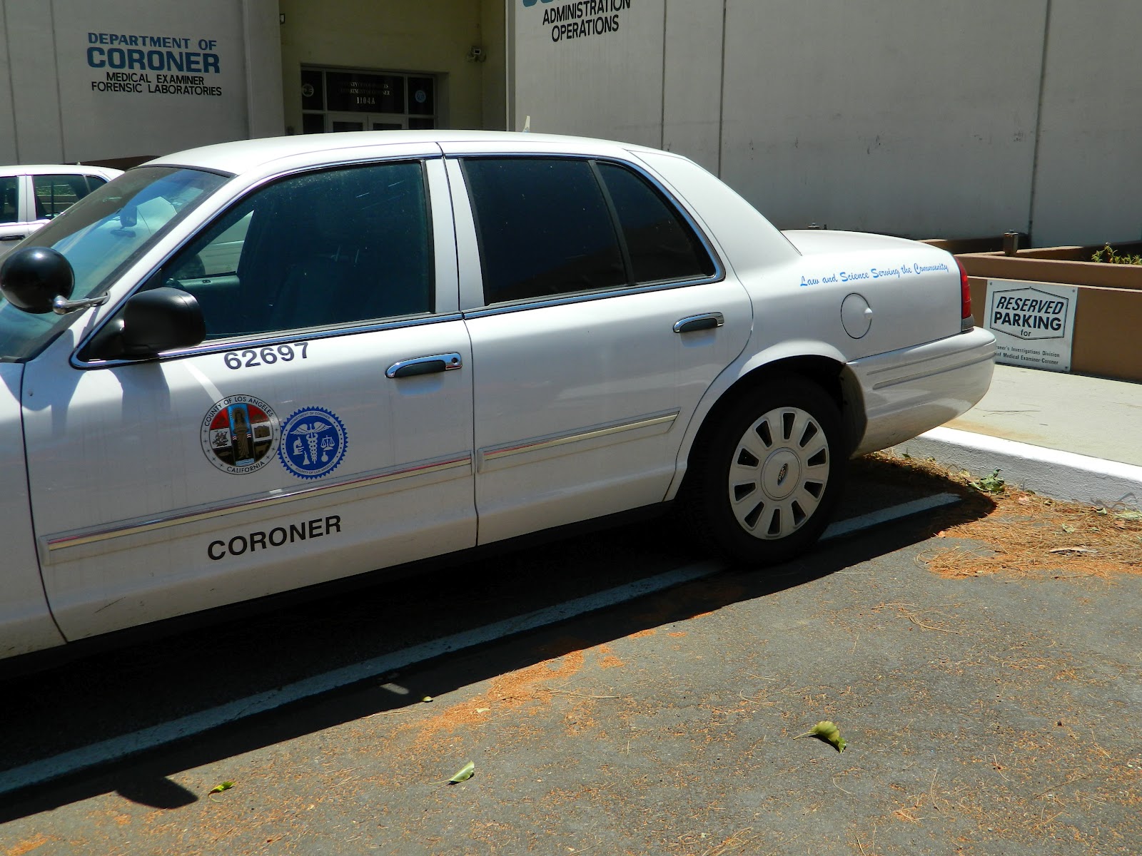 Roaming Rita Coroner's Gift Shops, Did You Know?