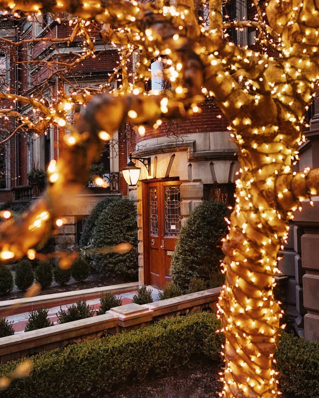 Christmastime in Boston ~ Holiday Inspiration & 𝒲𝑒𝑒𝓀𝑒𝓃𝒹 𝐹𝒶𝓋𝑜𝓇𝒾𝓉𝑒𝓈 ...
