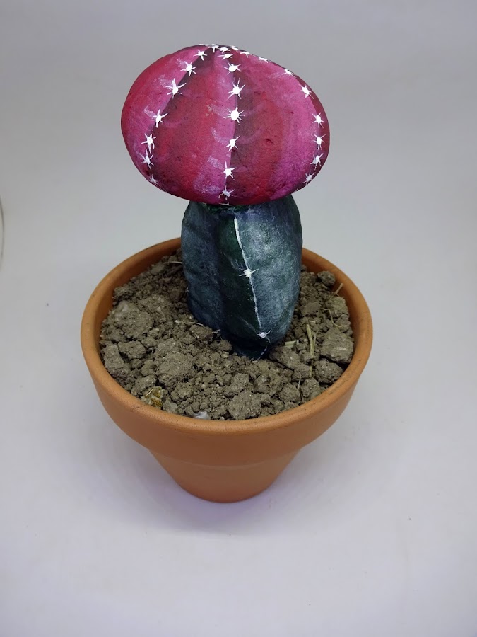 PIEDRAS PINTADAS CON CACTUS