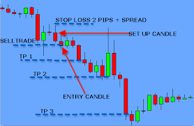 Forex the holy grail pdf