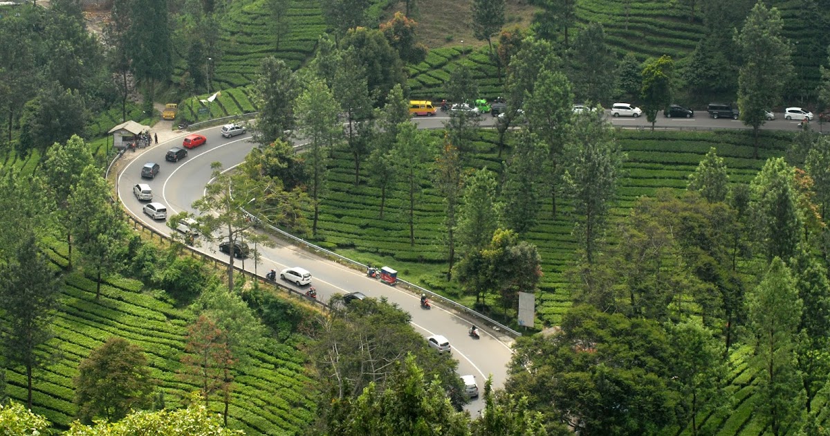 WISATA ALAM BOGOR - OUTBOUND DI PUNCAK