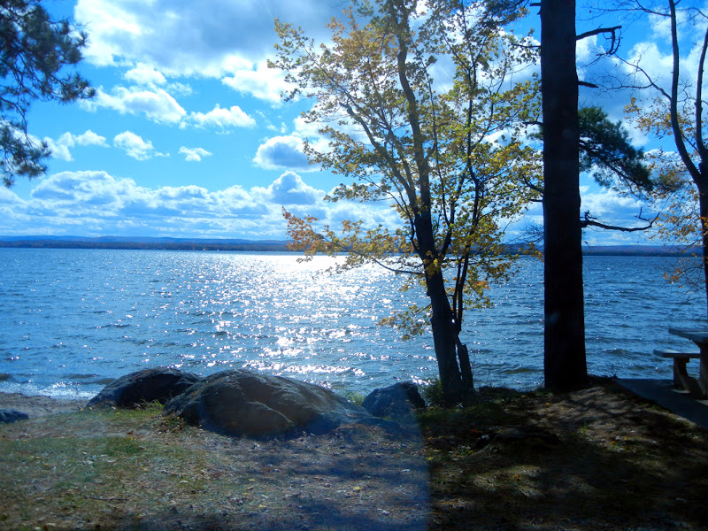 Ronna's Blog Picnic at Golden Lake
