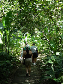 Soufriere St. Lucia  Diamond Botanical Gardens path by garden muses-not another Toronto gardening blog