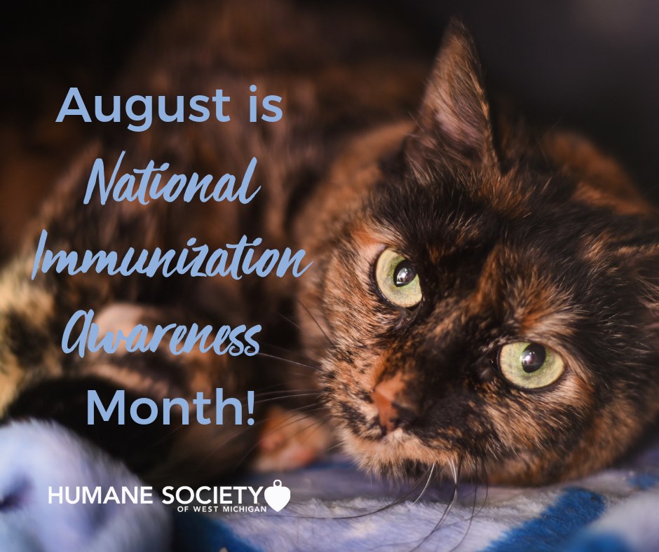 National Immunization Awareness Month National Immunization Awareness Month