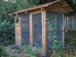 chicken building coops plans usen alan posted