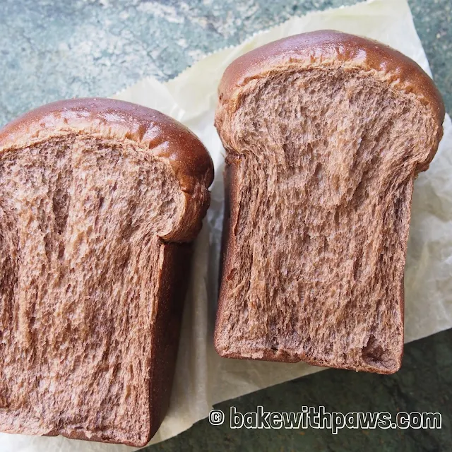 Chocolate Soft Sourdough Bread