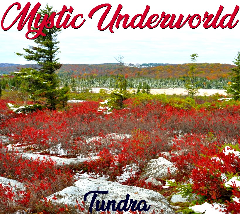 Tundra Front Cover