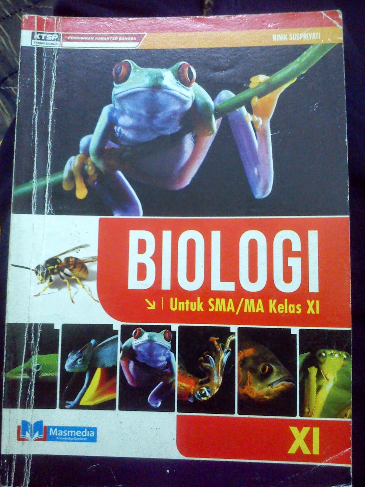 Buku Cetak Biologi Kelas 11 Jawaban Buku