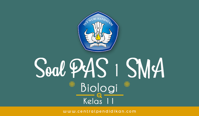 Contoh Soal PAS Biologi Kelas 11 Semester 1 Tahun 2021/2022